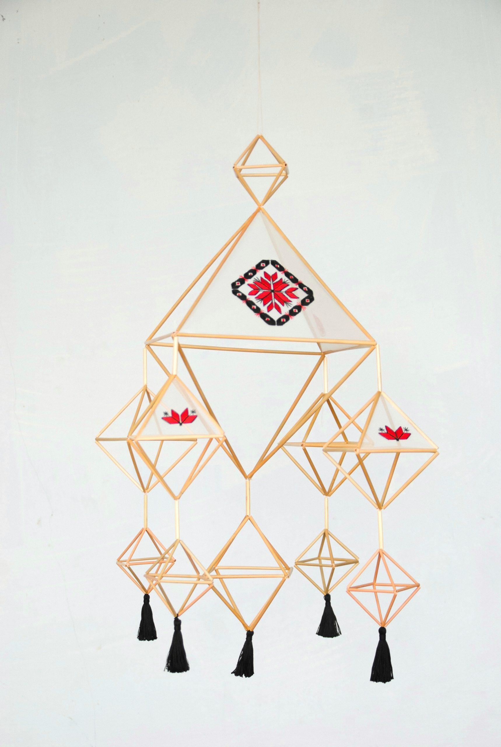 Павук « Київщина»