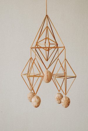 Павук «Цесарчин квартет»