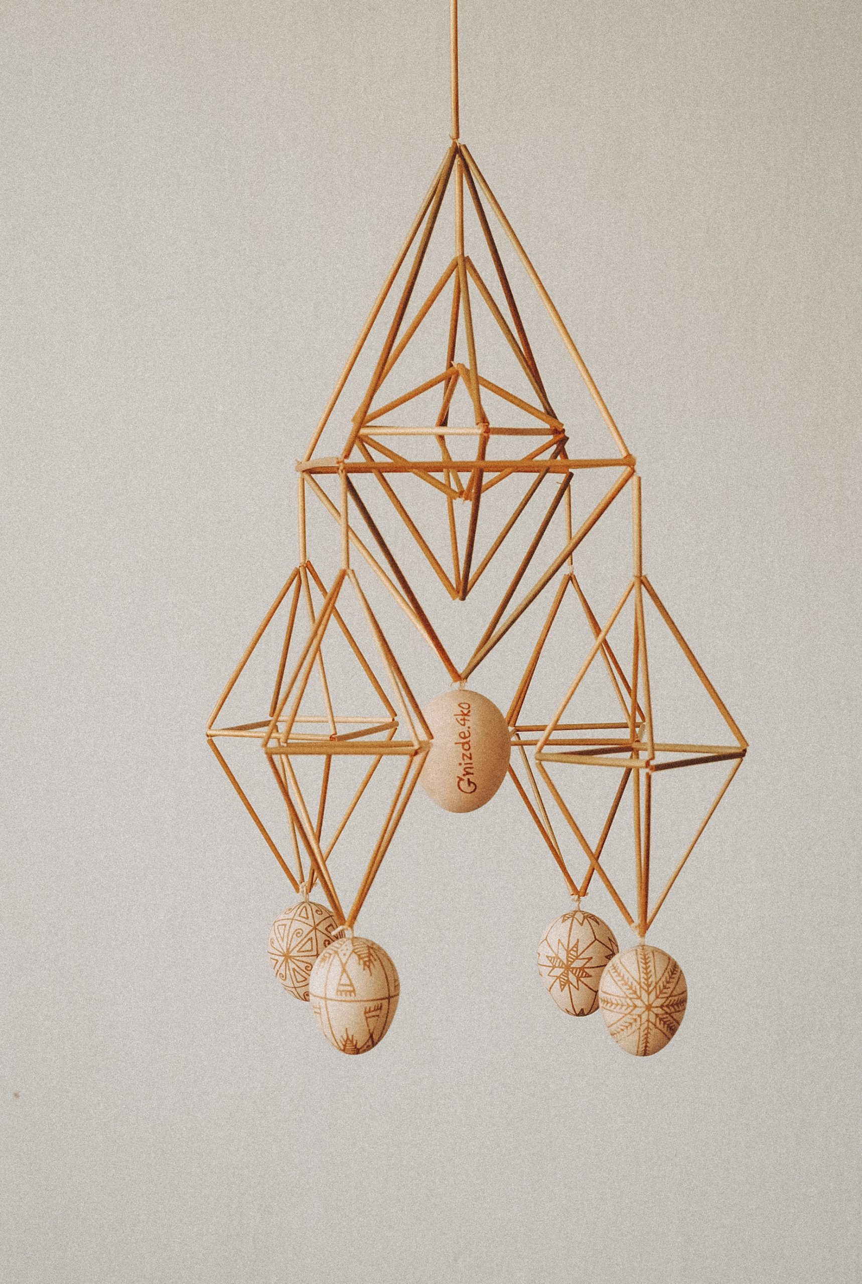 Павук «Цесарчин квартет»