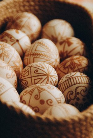 Колекція «коричнева вишивка»