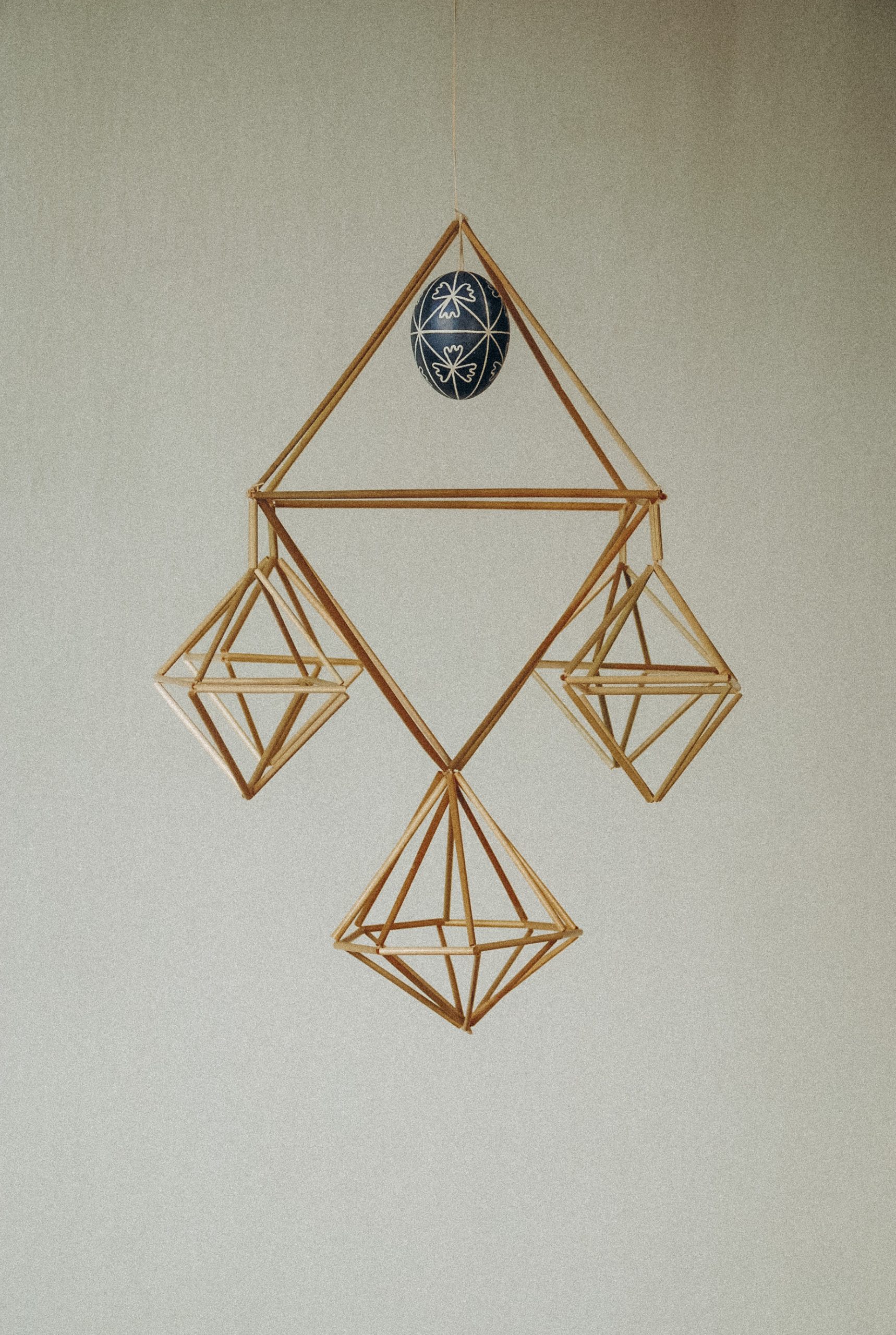 Павук «Рибка»