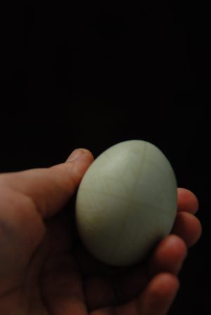 Писанка з орнаментом