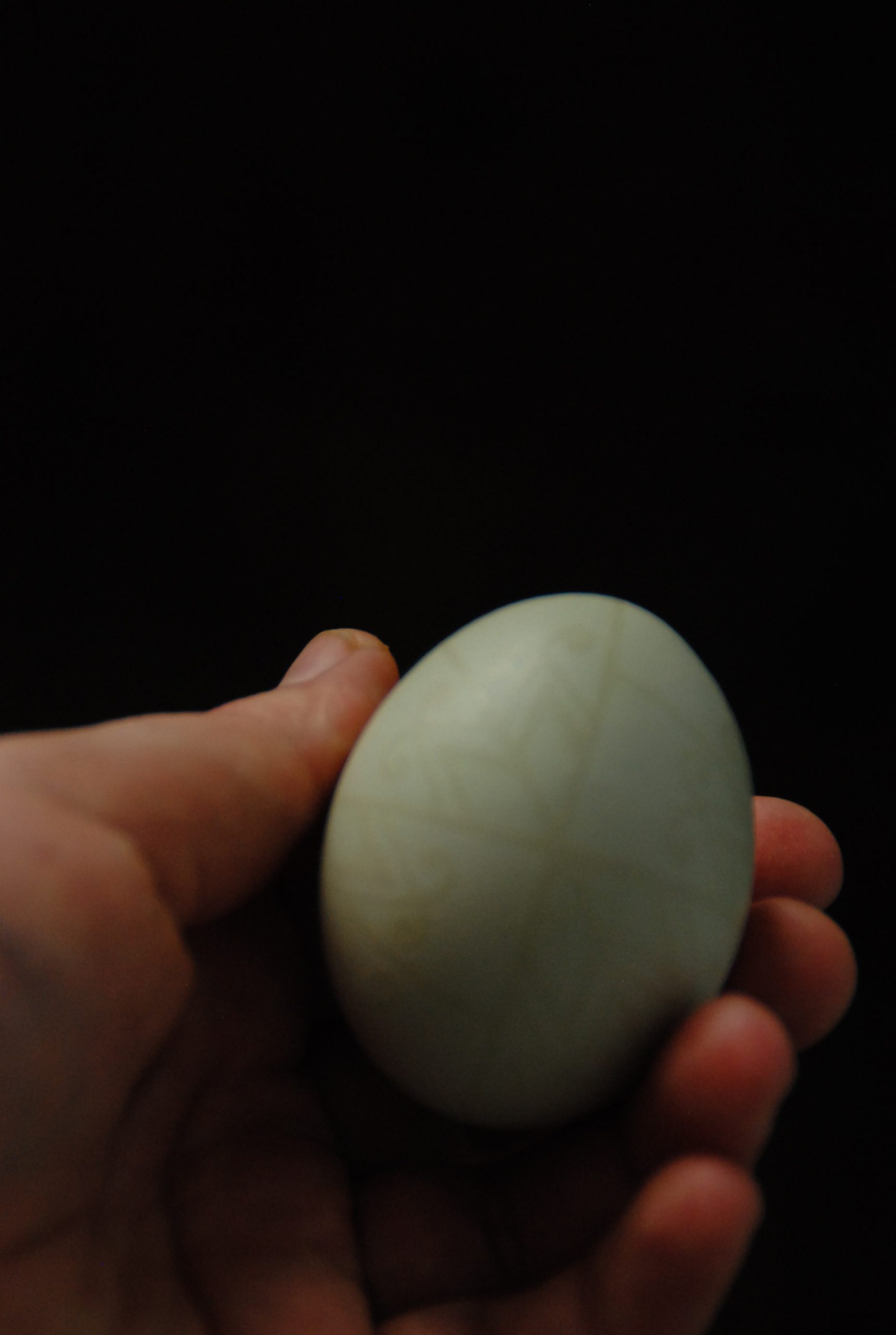 Писанка з орнаментом