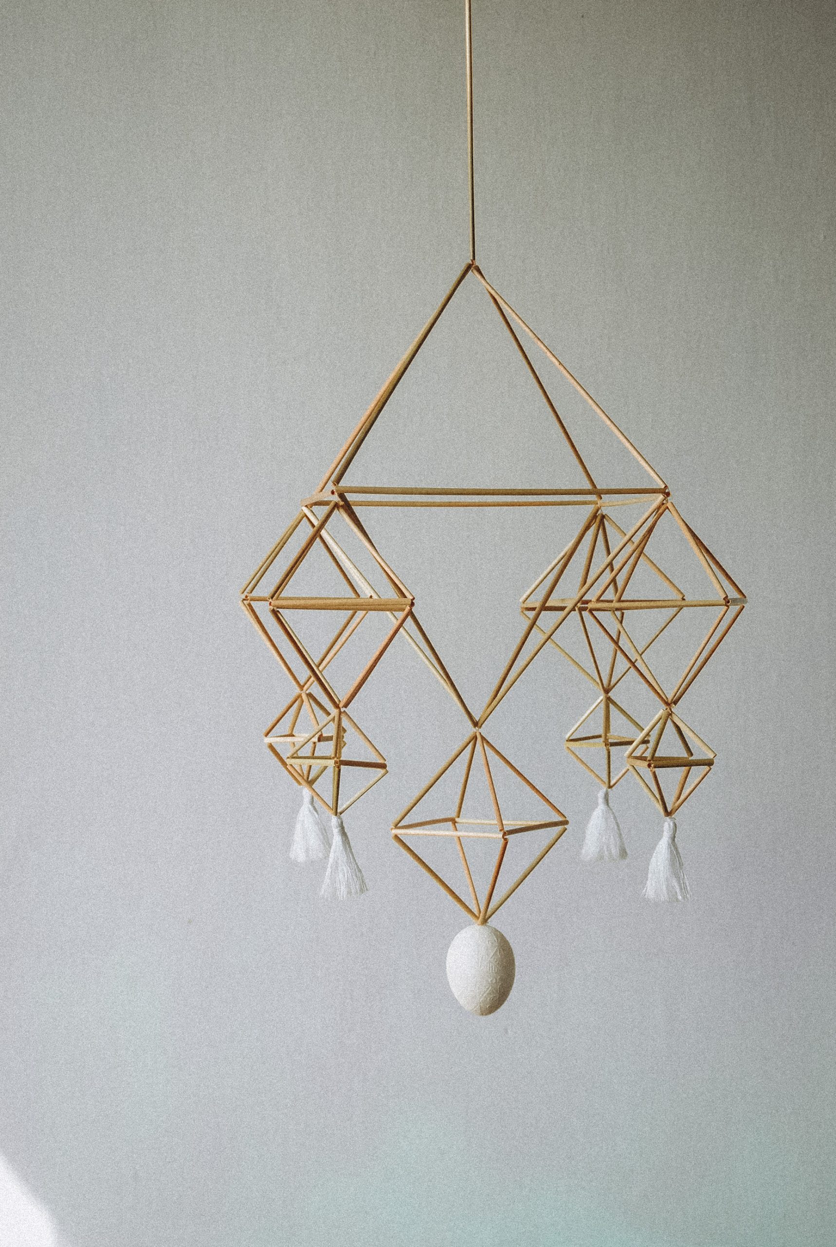 Павук «Наївний з китицями»