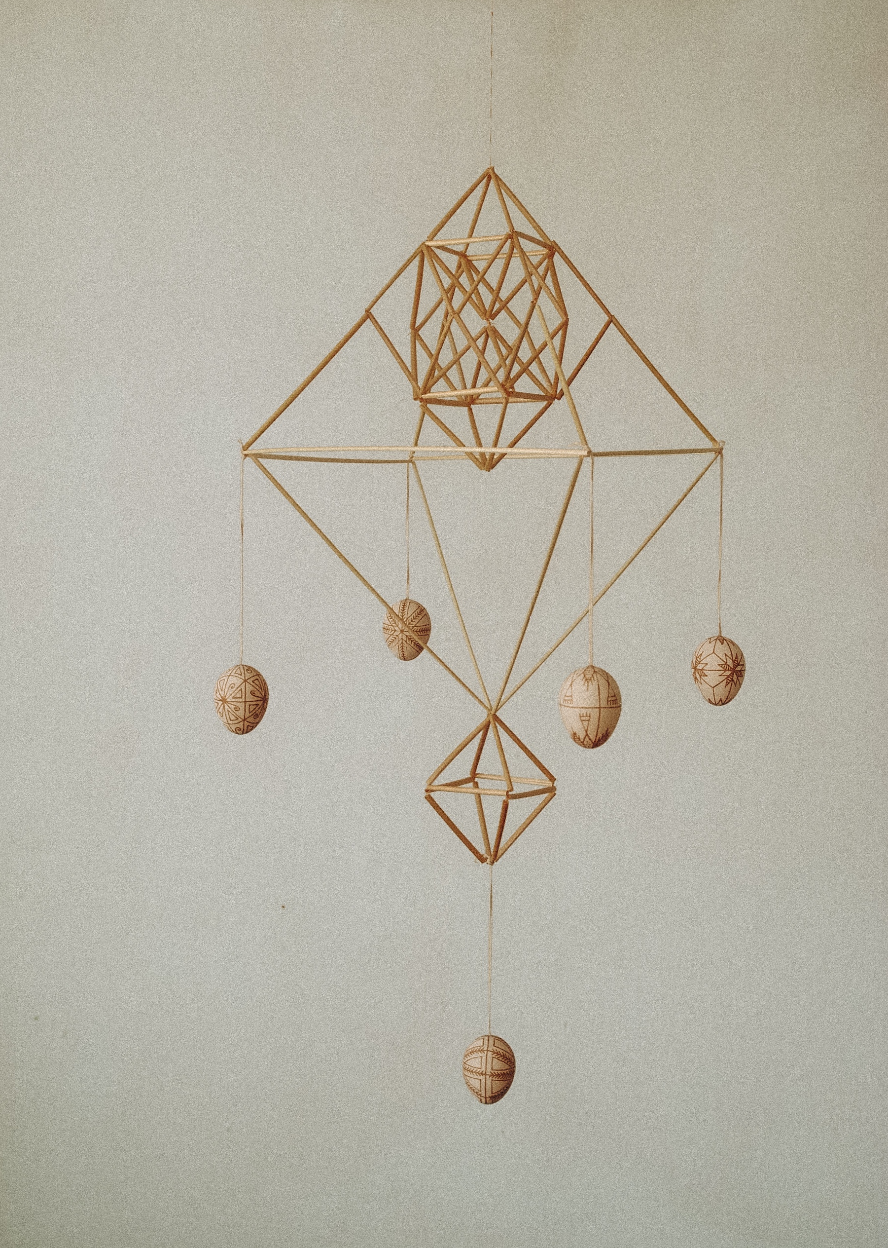 Павук «Плутанина»